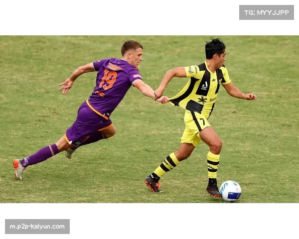 澳超竞争白热化伤病潮来袭或成左右冠军归属关键因素 澳超竞争白热化伤病潮来袭或成左右冠军归属关键因素